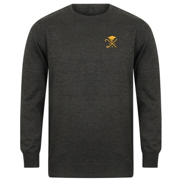 Pedagogues Golf - CREW NECK JUMPER - Grey - Men's Fit